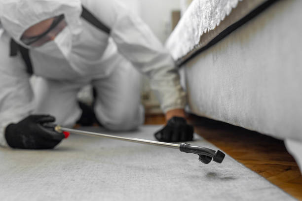 Professional Pest Control technician working in Jasper County County, TX